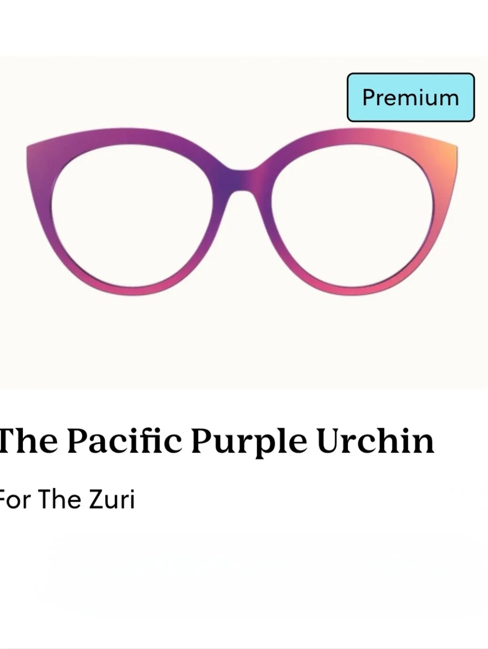 Pair Eyewear Brand Zuri Style Magnetic Topper 